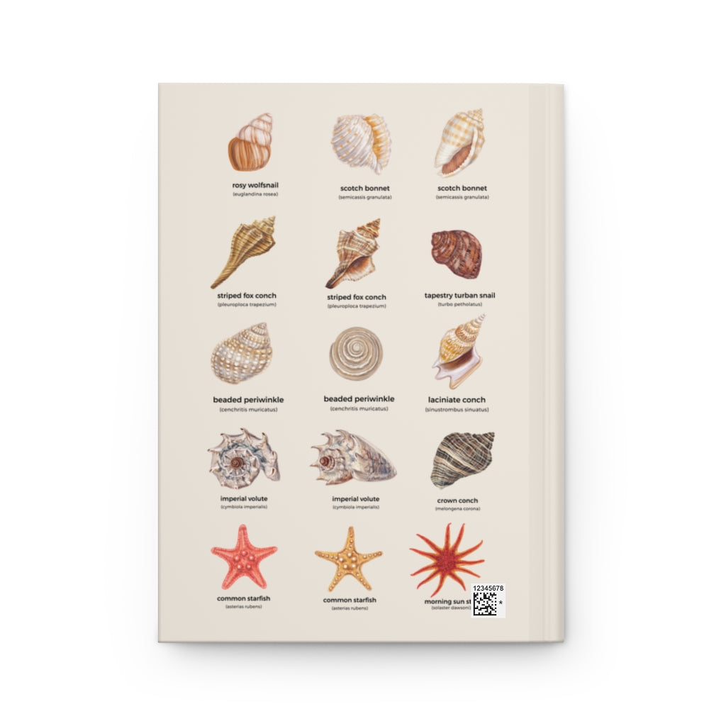 Scientific Shell Book Seashells Hardcover Journal Notebook – ScienceGrit