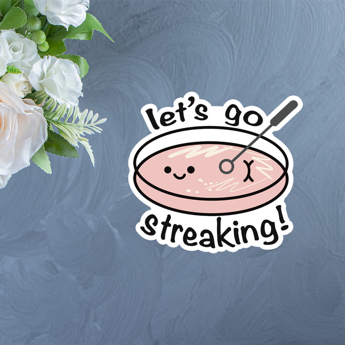 Let's Go Streaking Sticker