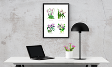 Flowers Museum Poster – Orchids (No Frame)