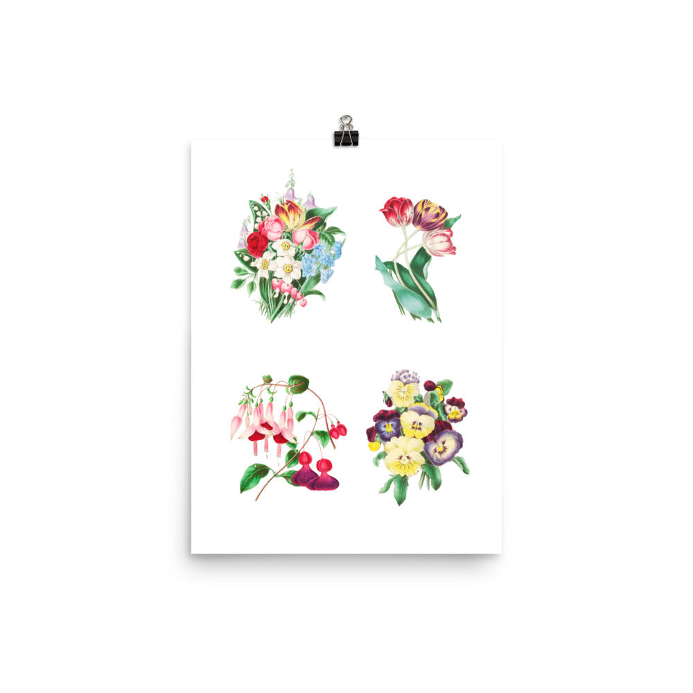 Flowers Museum Poster – Beautiful Flowers (No Frame)